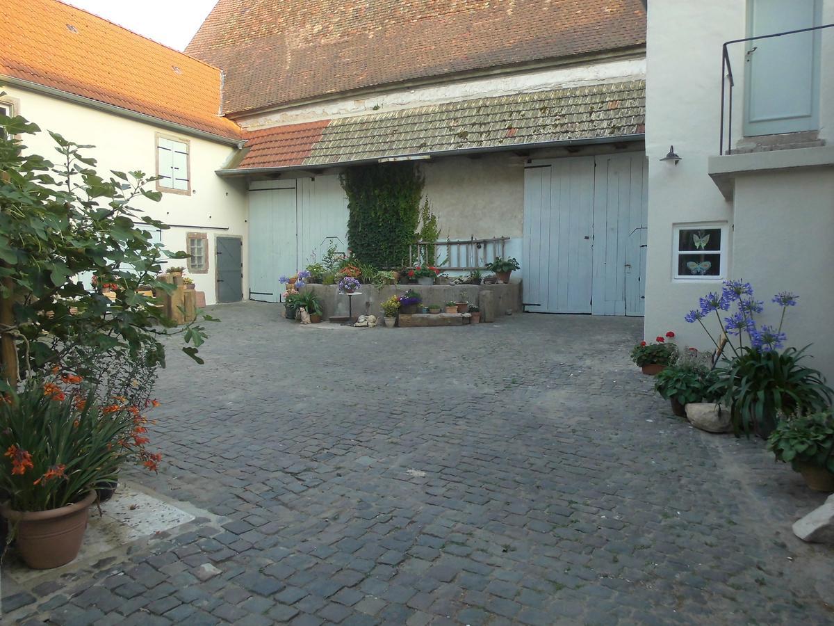Gaestezimmer Mittelgasse Florsheim-Dalsheim Exteriér fotografie
