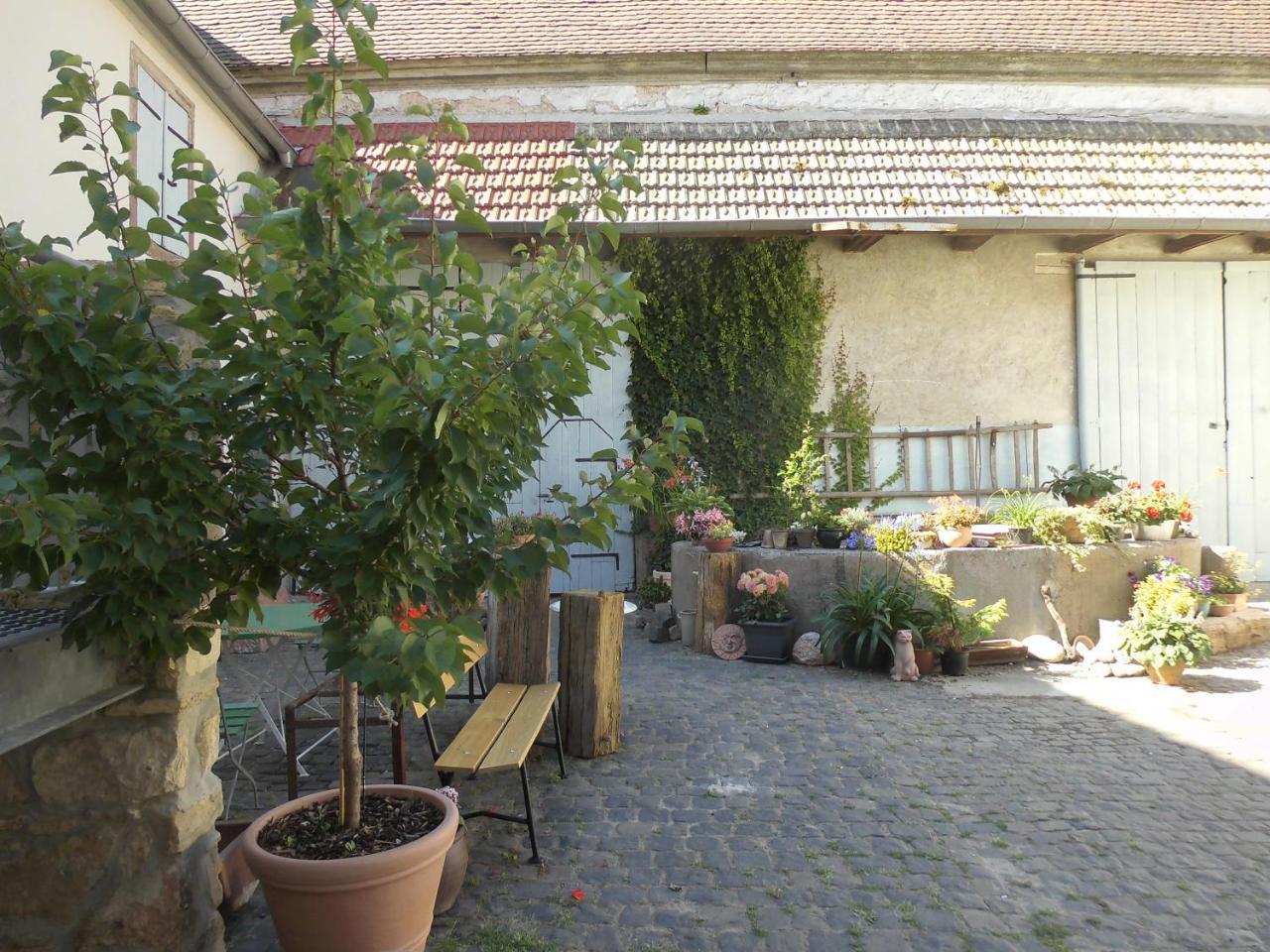Gaestezimmer Mittelgasse Florsheim-Dalsheim Exteriér fotografie