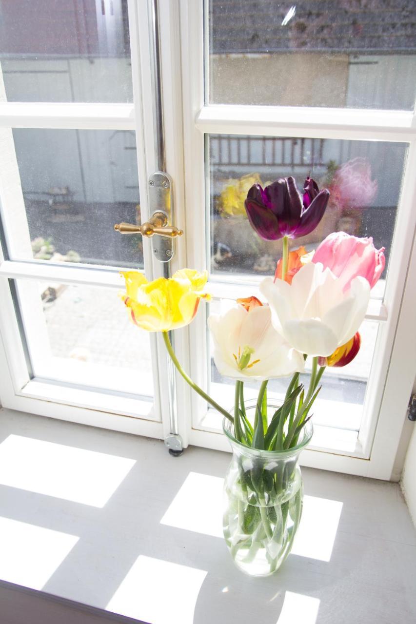 Gaestezimmer Mittelgasse Florsheim-Dalsheim Exteriér fotografie